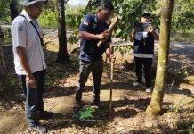 Bioflok Tematik KDMP Diharapkan Dongkrak Ekonomi Warga