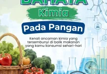 Bahaya Kimia pada Pangan