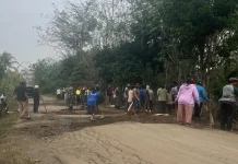 Warga Bali Sadar Utara Gotong Royong Perbaiki Jalan