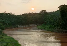Memasuki Musim Kemarau, Debit Air Sungai Way Umpu Menurun
