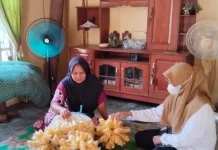 Puskesmas Way Tuba Lakukan IKL IRT Kerupuk Jangek Bandar Sari