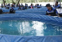 Kampung Tanjung Harapan Usulkan Program Budidaya Ikan melalui Bioflok