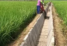 Produksi Pangan Meningkat, Petani Optimis Sektor Pertanian Terus Menguat