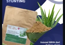 Serbuk Lidah Buaya BRIN Kaya Omega, Cegah Stunting pada Anak