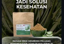 BRIN Hadirkan Serbuk Lidah Buaya Instan, Praktis dan Bergizi
