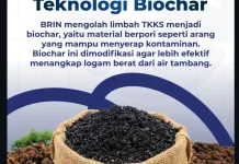 Biochar Sawit BRIN Serap 80 Persen Logam Mangan di Air Tambang
