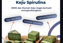BRIN Gandeng Rumah Keju Jogja Ciptakan Keju Artisan Berbahan Spirulina
