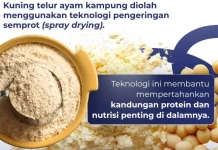 Tepung Telur Kampung BRIN Buka Peluang Industri dan Nilai Tambah