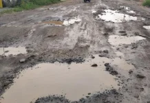 Warga Way Kanan Keluhkan Jalan Way Tuba-Karya Jaya Rusak