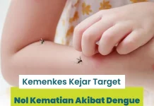 Kemenkes  Kejar Target Nol Kematian akibat Dengue di Tahun 2030