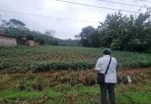 KPKNL Metro Tuntaskan Survei Barang Jaminan Lampung Utara