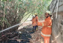 Puntung Rokok Diduga Picu Kebakaran Lahan Metro