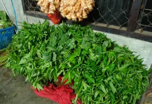 Pedagang Toko Sayuran Andalkan Kesegaran Produk untuk Menarik Pembeli