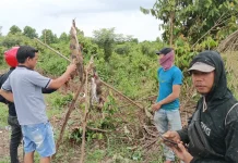 Hasil Tangkapan Ikan Sungai Meningkat, Warga Manfaatkan Musim dan Debit Air