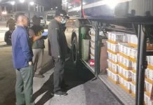 Karantina Lampung Gagalkan Pengiriman Ratusan Ekor Burung Tanpa Dokumen