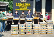 Karantina Lampung Perkuat Pengawasan Lalu Lintas Satwa