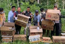 Ratusan Burung Sitaan Dilepasliarkan di Hutan Gunung Rajabasa