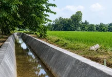 Petani Way Kanan Didorong Ajukan Bantuan Irigasi Hadapi Kemarau