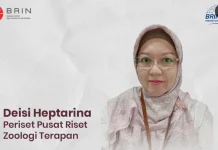 BRIN: Biji Kecipir Tingkatkan Kecernaan Protein Ikan hingga 70 Persen