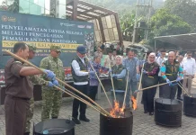 Balai Karantina Lampung Musnahkan Puluhan Ribu Benih Sawit Palsu