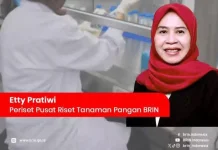 Biofertizinc BRIN Tingkatkan Produktivitas Padi hingga 50 Persen