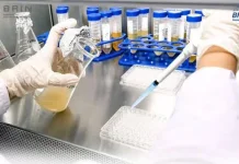 Pupuk Hayati Biofertizinc BRIN Tingkatkan Zinc Padi untuk Perbaikan Giz