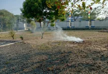 Pembakaran Sampah di Musim Kemarau Berisiko Memicu Kebakaran Lahan