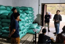 Bulog Lampung Utara Pantau Mitra Makloon Way Kanan