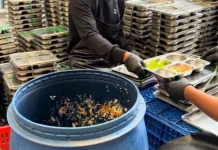 DLH Way Kanan Siapkan Rumah Maggot Olah Sampah Organik Limbah MBG