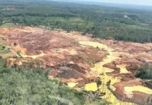 Publik Soroti Tuntutan 1 Tahun Kasus Tambang Emas Ilegal