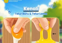 Kenali Telur Baru dan Telur Lama