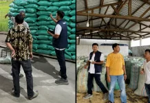 Bulog Lampung Utara Pantau Mitra Penggilingan Padi di Way Kanan