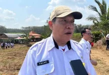 DTPHP Way Kanan Pastikan Benih Unggul Bagi Petani