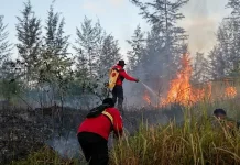 Pemkab Way Kanan Terbitkan Edaran Antisipasi Karhutla
