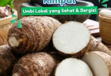 Kenalan dengan Kimpul: Umbi Lokal yang Lezat, Bergizi