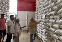 Bulog Lampung Utara Pastikan Stok Beras Aman