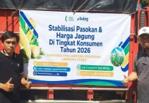Bulog Lampung Utara Serap Jagung Petani Dukung Swasembada Pangan