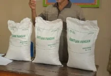 Bantuan Pangan Way Kanan Juli-September Hanya Berupa Beras