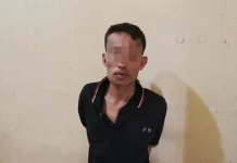 Polisi Ungkap Pencurian 41 TBS Sawit di Way Kanan