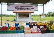 DTPHP Way Kanan Dorong MBG Serap Produk Petani Lokal