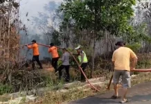Dua Hektare Lahan Terbakar, BPBD Way Kanan Turunkan Tim