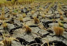 Dinas TPHP Way Kanan Siapkan Sumber Air Alternatif Hadapi Kemarau