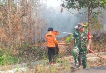 BPBD Way Kanan Imbau Warga Waspadai Kebakaran Hutan dan Lahan