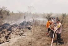Tujuh Hektare Lahan di Blambangan Umpu Terbakar