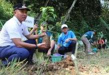 Gerakan ASRI, Pemkab Lampung Barat Tanam Pohon Alpukat