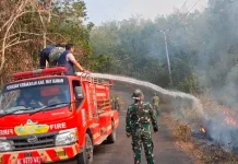 Babinsa dan Damkar Way Kanan Berjibaku Padamkan Kebakaran Lahan