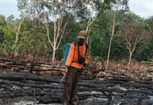 Ini Wilayah Way Kanan Rentan Kekeringan dan Kebakaran Lahan