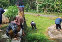 Terdampak Abu Vulkanik, Aktifitas Warga Kampung Pancuran Berjalan Normal