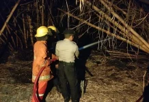 Kebakaran Lahan di Metro Timur akibat Sampah