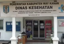 Dinas Kesehatan Way Kanan Imbau Warga Waspada Paparan Abu Vulkanik GAK